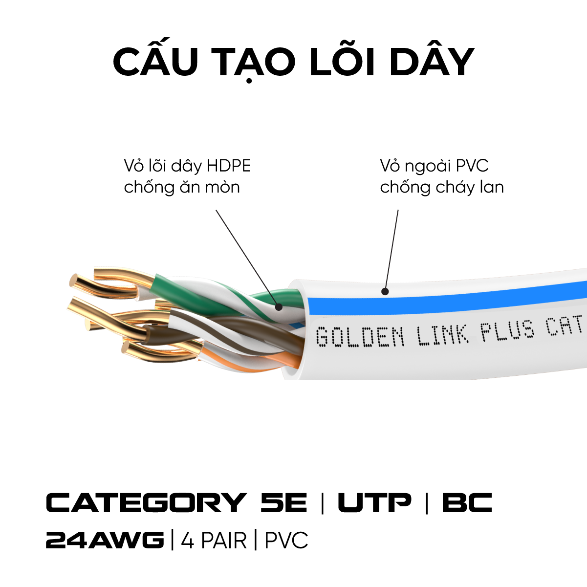 Cable LAN GOLDEN TAIWAN PLUS UTP CAT5E 305m Trắng sọc xanh (Đồng nguyên chất)