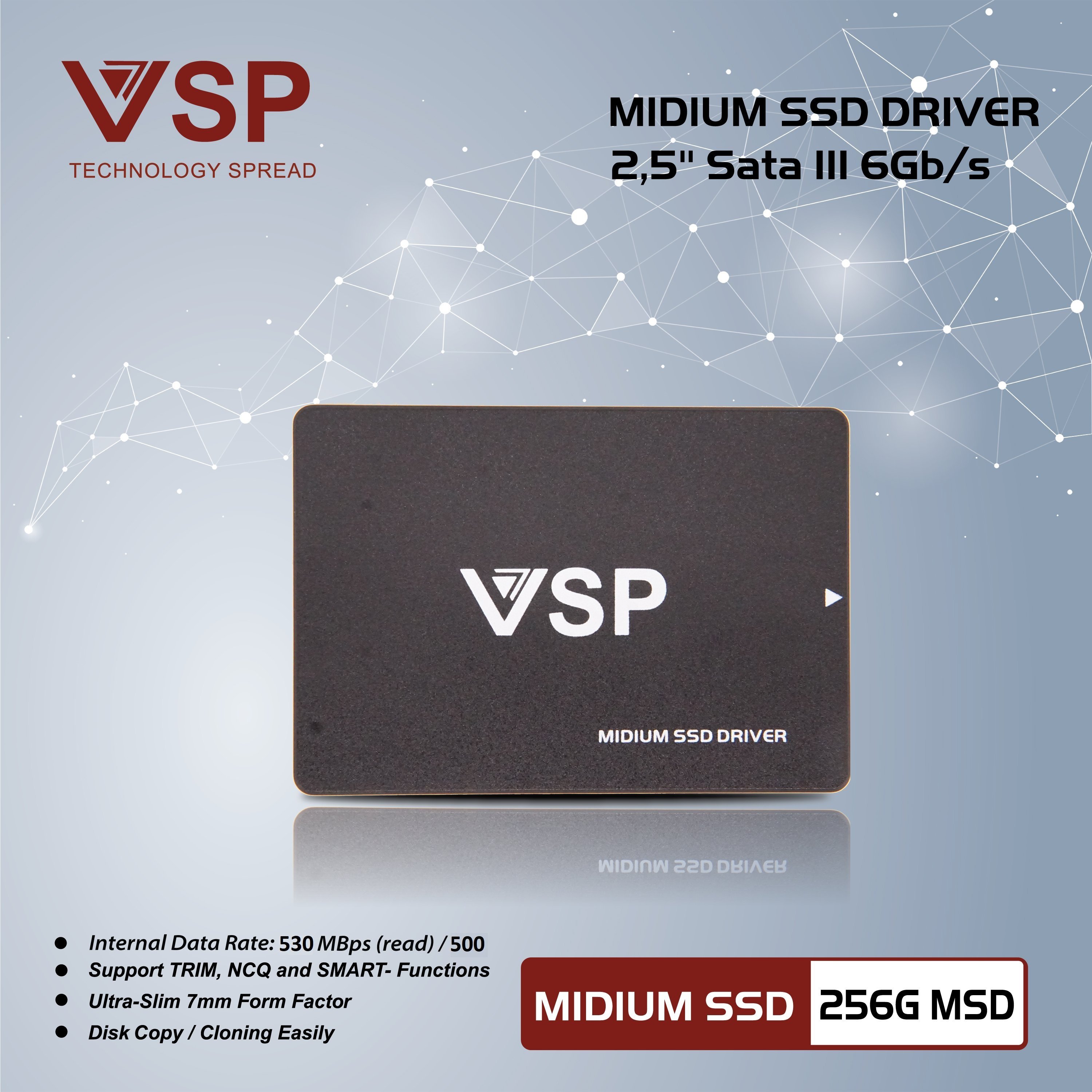 SSD 256G VSPTECH MSD